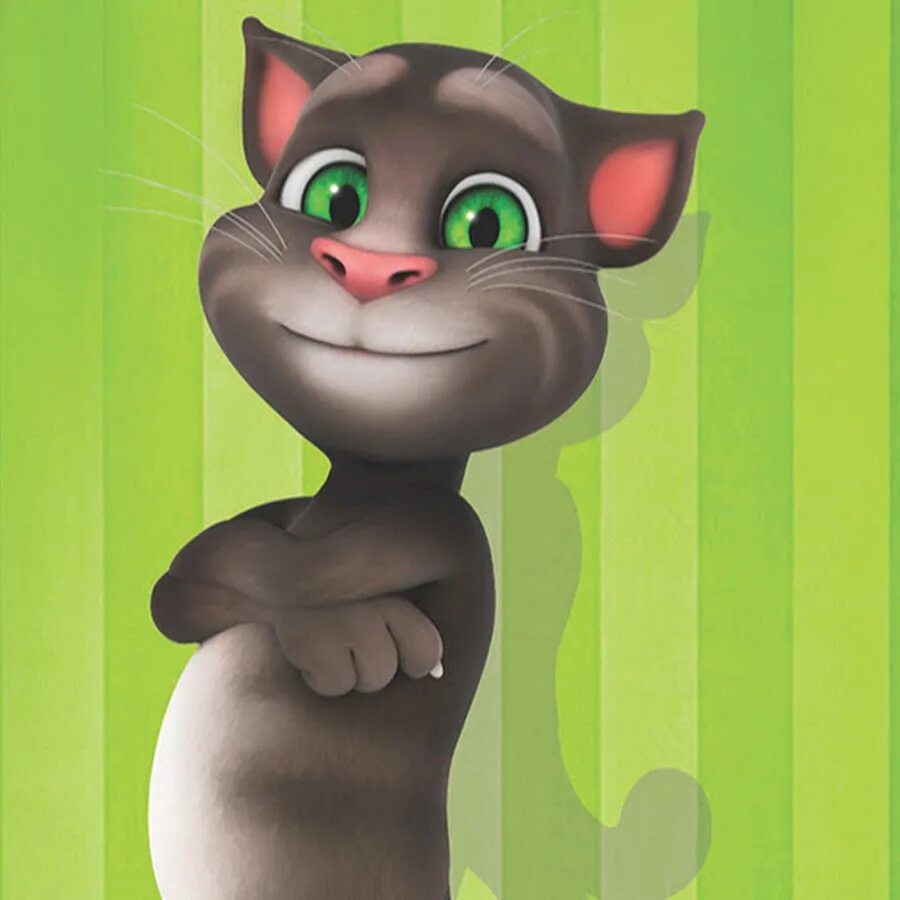 Танцующий том кот