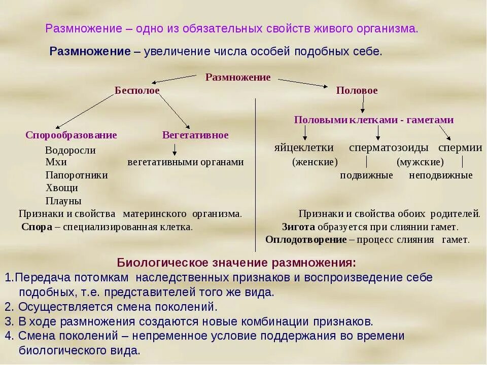 Увеличение числа особей