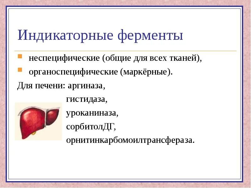 Печень ферменты и функции. Индикаторные ферменты крови. Органоспецифические ферменты печени. Классификация ферментов печени. Индикаторные ферменты печени.