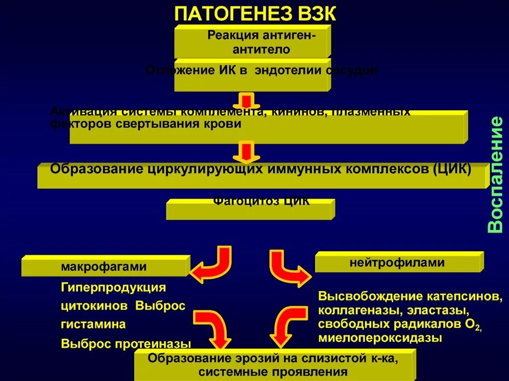 Хронический неспецифический колит патогенез. Неспецифический язвенный колит патогенез кратко. Болезнь крона и язвенный колит этиология. Патогенез хронического колита. Признаки патогенеза