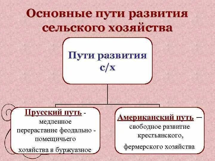 Прусский путь развития капитализма в сельском хозяйстве. Американский путь развития капитализма в сельском хозяйстве России. Пути развития сельского хозяйства. Прусский и американский пути развития сельского хозяйства.