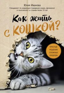 Кошки юле