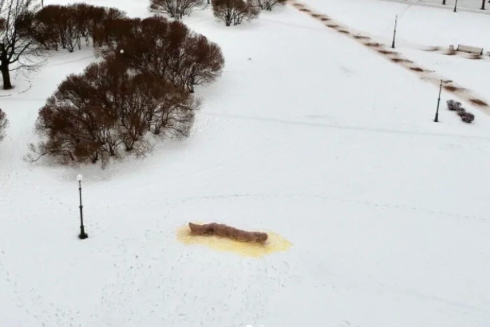 Какашка из снега на марсовом поле. Какашка из снега на марсовом поле. Поли какашка. Волков фекалии марсово поле. Фекалия ивана волкова на марсовом поле.