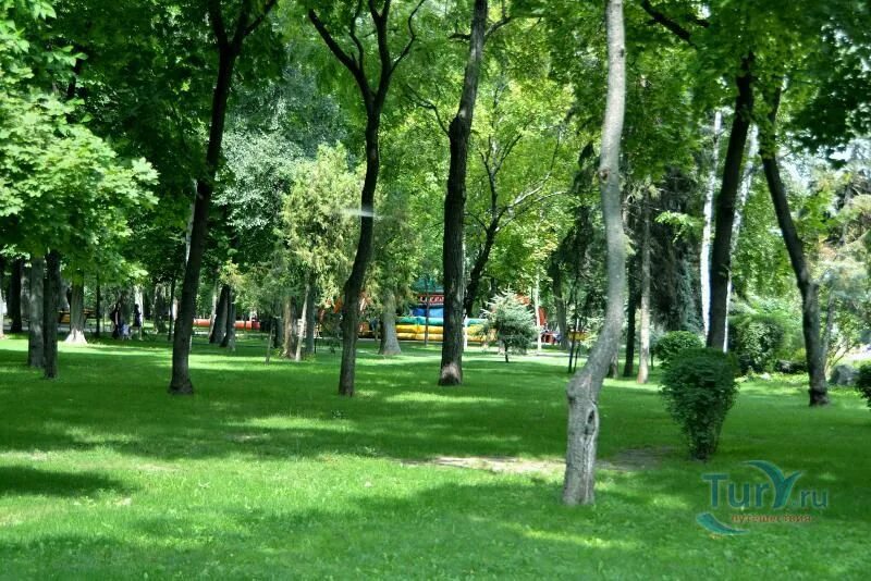 Октябрь в парке Октября :: Нина Бутко - Социальная сеть ФотоКто