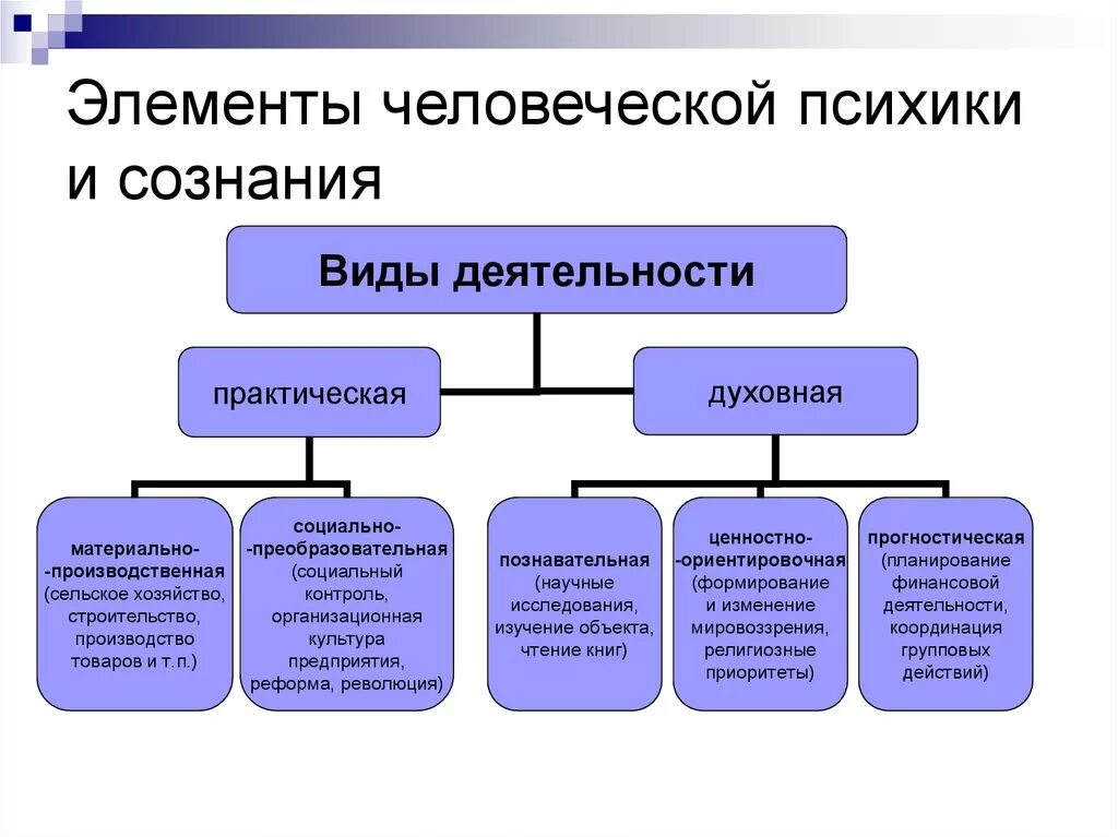 Виды деятельности человека. Элементы психики. Элементы человеческой психики и сознания. Виды деятельности психика. Формы человеческой активности