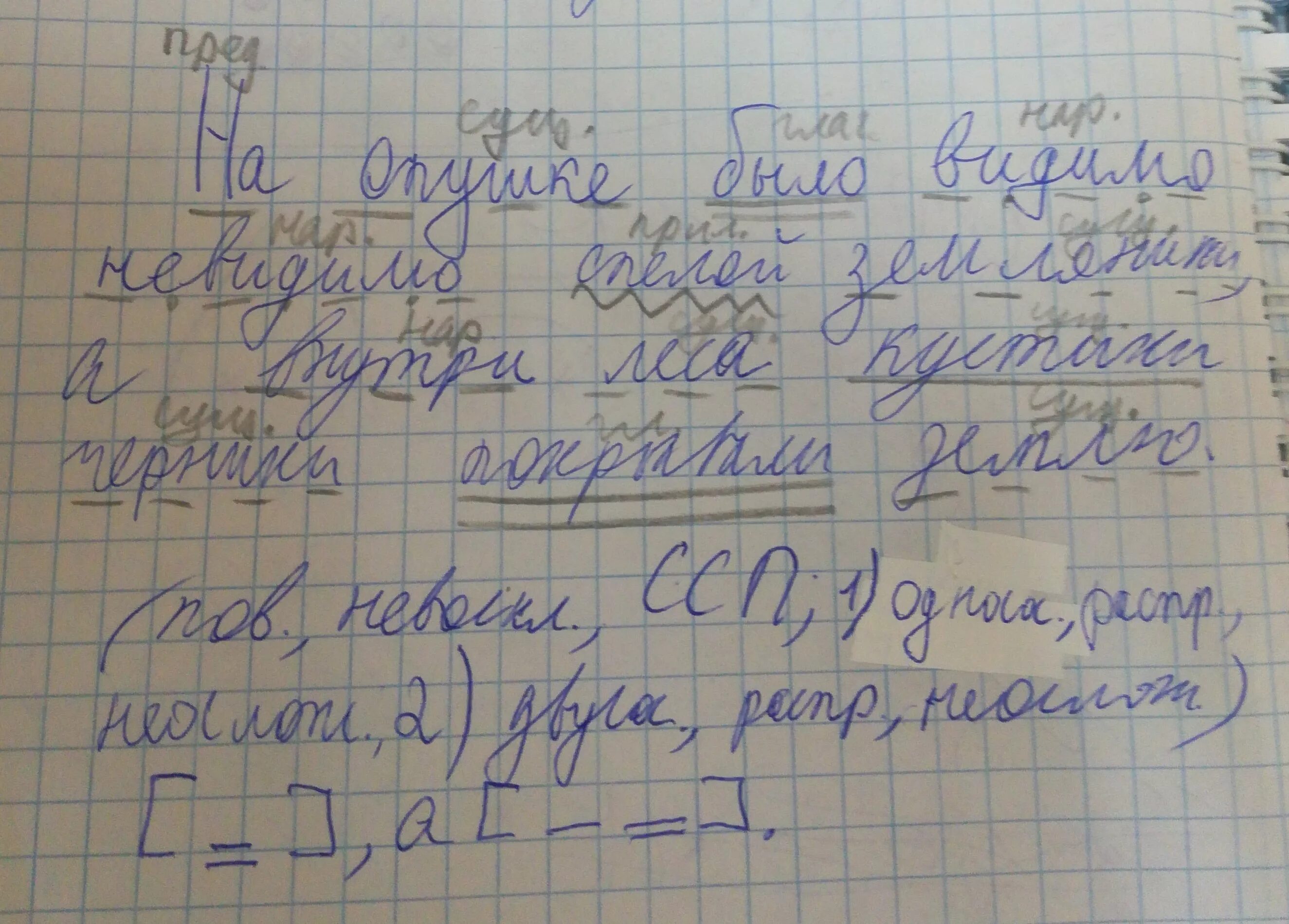 Растущие разбор. На опушке березового леса около муравейника. На опушке леса около муравейника вырос чистотел. Разбор предложения на опушке берёзового леса. Синтаксический разбор предложения.