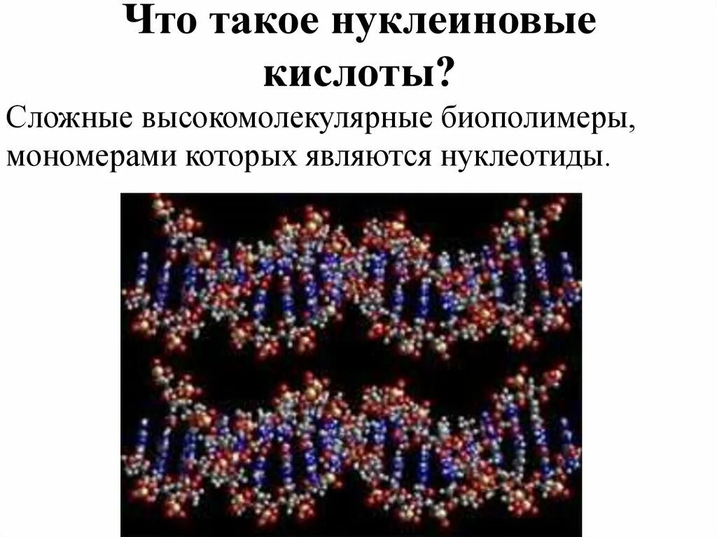 Мономерами биополимеров являются. Нуклеиновые кислоты. Нуклеиновые кислоты презентация. Биологические полимеры нуклеиновые кислоты. Нуклеиновые кислоты это биополимеры.