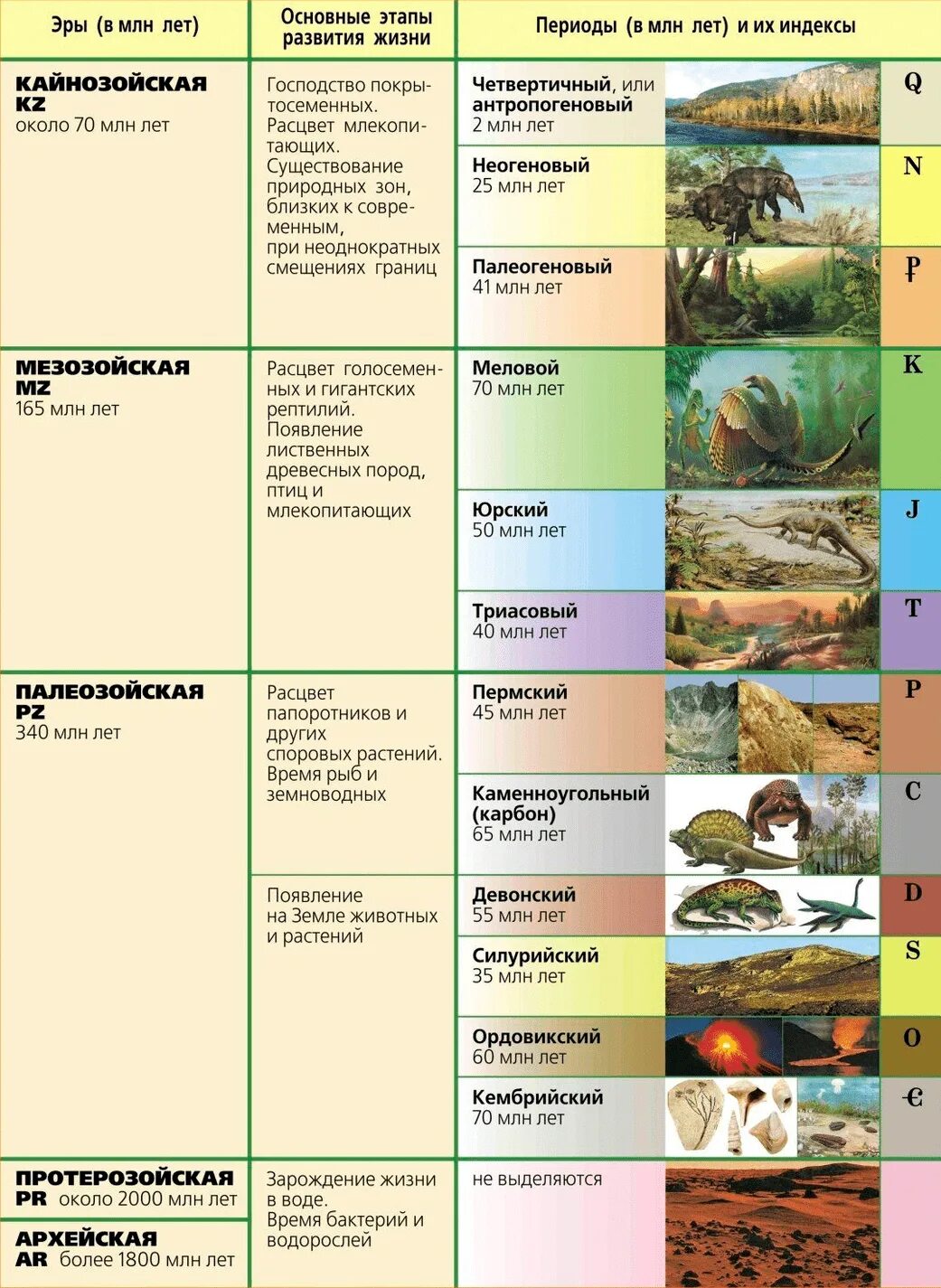 Хронологическая последовательность групп животных. Геохронологическая таблица Эволюция растений. Геохронологическая история земли. Геохронологическая история земли основные этапы эволюции.