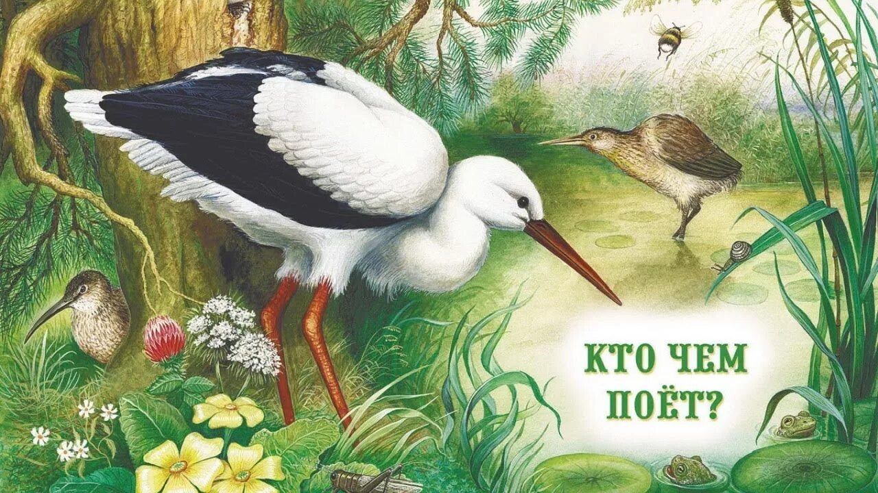 Бианки в.в. "кто чем поет?". Бианки кто чем поет иллюстрации. Аисты читательский дневник