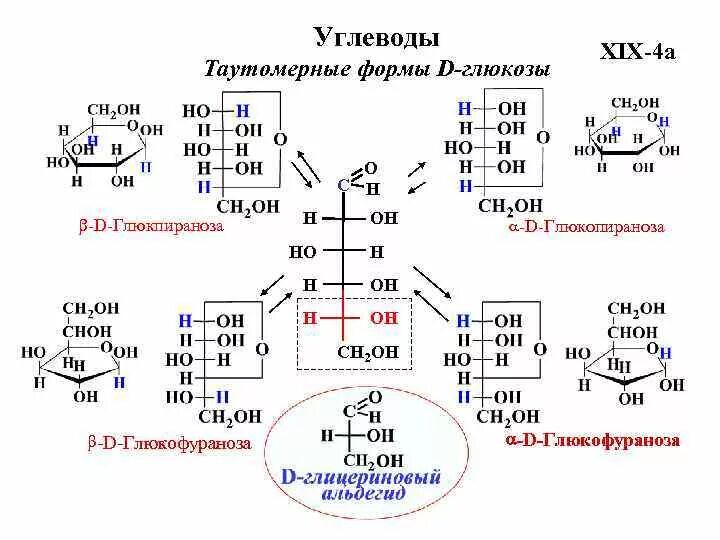 Гидрирование фруктозы. Схема таутомерных превращений d-Глюкозы. Схема таутомерных превращений d-маннозы. Таутомерные формы d-маннозы. Таутомерные превращения l Глюкозы.