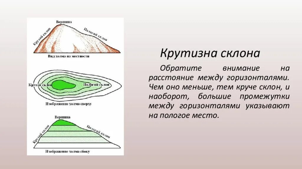 Как определить крутой склон. Холм рельеф. форма рельефа холма. изобразить горизонталями склон. рельеф местности гора.