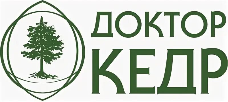 Кедр обнинск