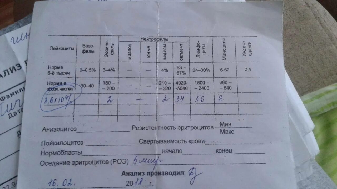 У новорожденного в моче повышены. Норма лейкоцитов в крови у ребенка 5 лет. Норма лейкоцитов в крови у ребенка 1 год. Норма лейкоцитов в крови у ребенка 2 года. Норма лейкоцитов в крови у ребенка до 1 года.