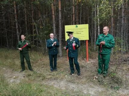 Российские лесничество