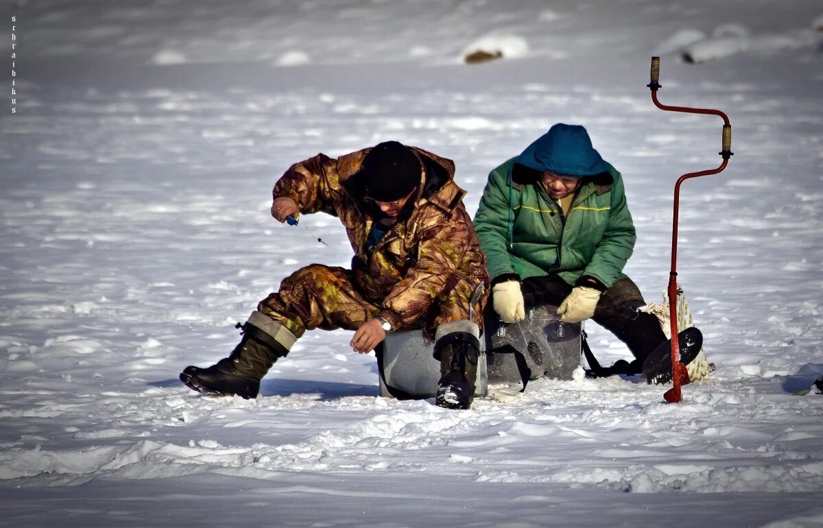 Где зимой ловят рыбу. Зимняя рыбалка во Владимирской области. Рыбаки на льду. Рыбак зимой. Зимняя рыбалка рыбаки на льду.