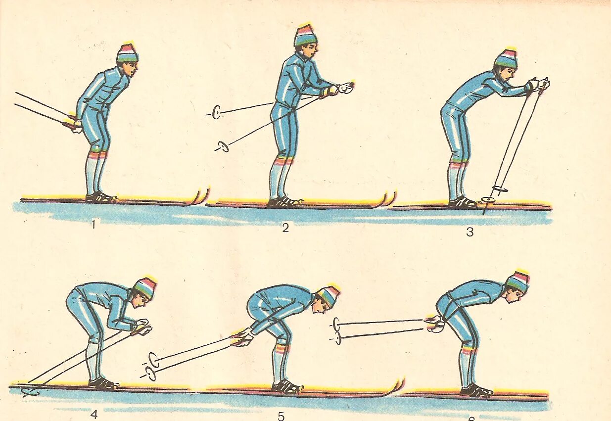 Шаг лыжника. Одновременный бесшажный ход на лыжах. Техника лыжных ходов бесшажный ход. Одновременный бесшажный ход техника. Бесшажный классический ход на лыжах.