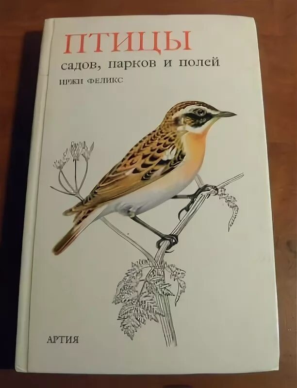 птицы садов и полей. птицы нашего сада. птицы садов парков и полей. птицы сада и парка. птицы садов и полей.