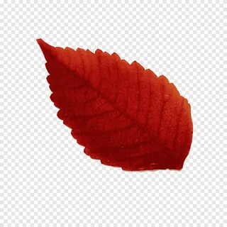 Листики желтые листики красные