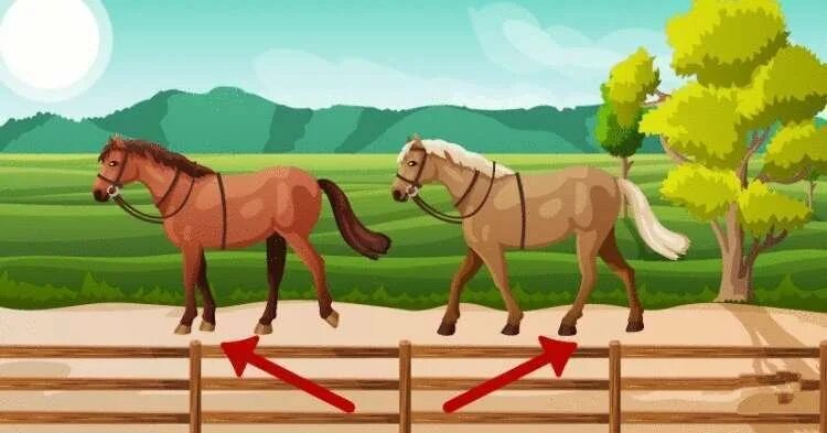 Конюшня иллюстрация для детей. Лошадь в конюшне рисунок. Конюшня мультяшная. Конюшня рисунок