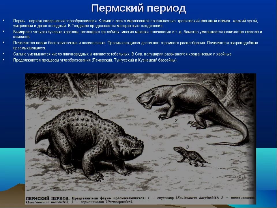 Как правильно писать период или периуд. Пермский период палеозойской эры животные. Пермский период палеозойской эры. Начало Пермского периода. Представители Пермского периода.