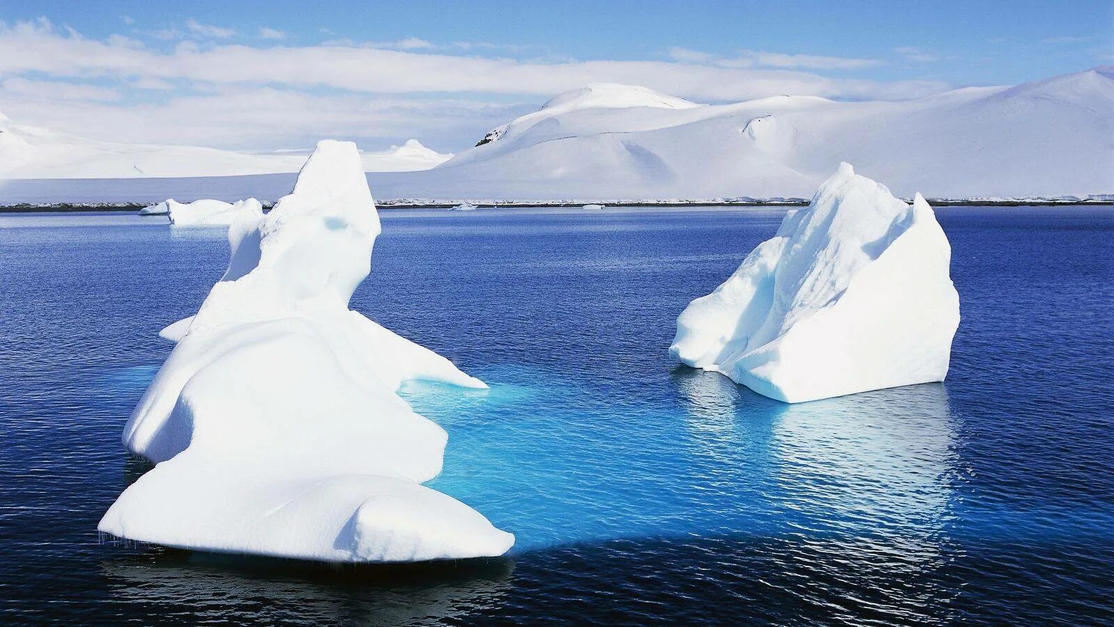Полуостров южного океана. Море Уэдделла Южный океан. Море Уэдделла в Антарктиде. Южный Ледовитый океан. Море Уэдделла айсберги.