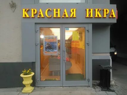 Магазин икра график