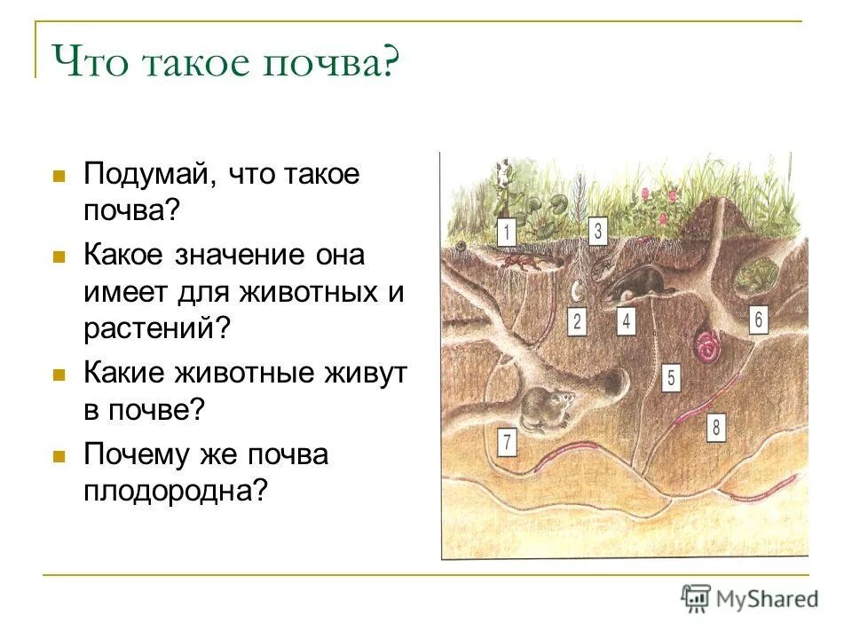 Тест окружающий мир почва. Тема урока почва. Почва задания для детей. Почва задания для дошкольников. Задания на тему почва.