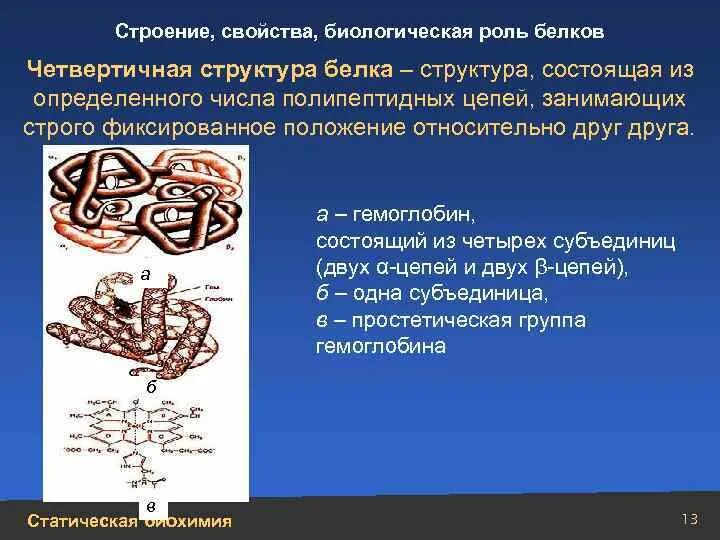 Строение и биологическая роль белков
