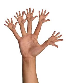 All hands