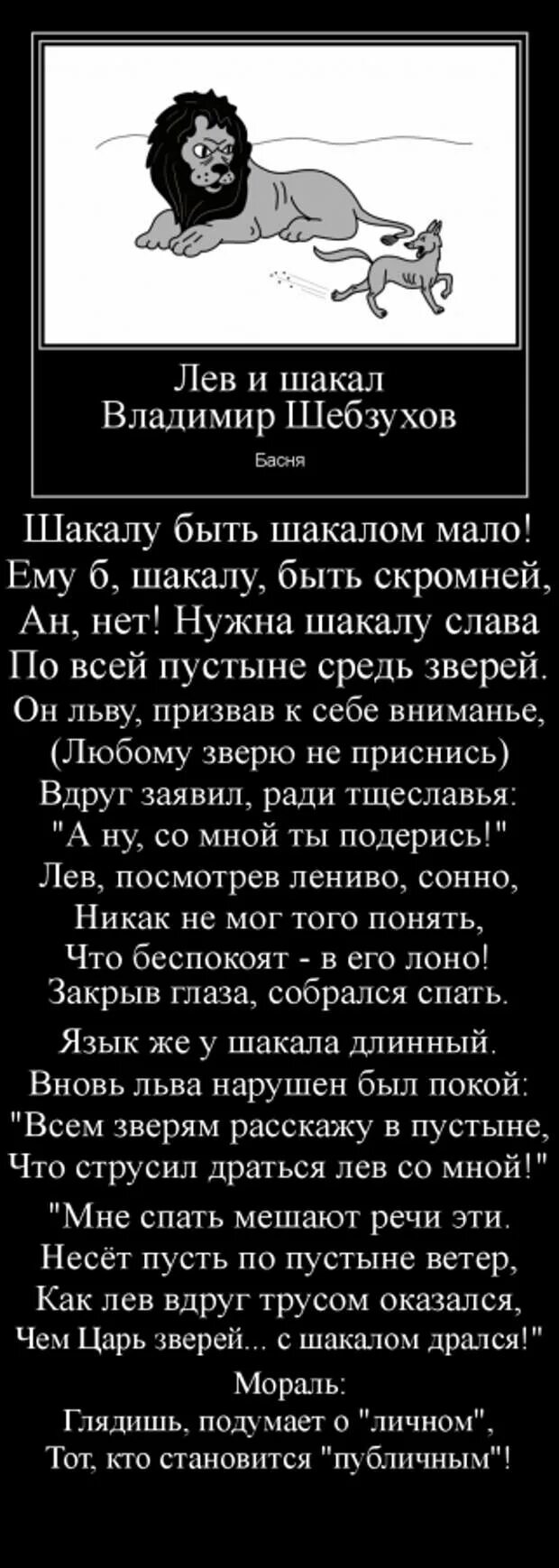 Басня Лев и Шакал. Притча про Льва и шакала. Басня про Льва. Притча про Льва и шакала Троцкий. Притча про льва