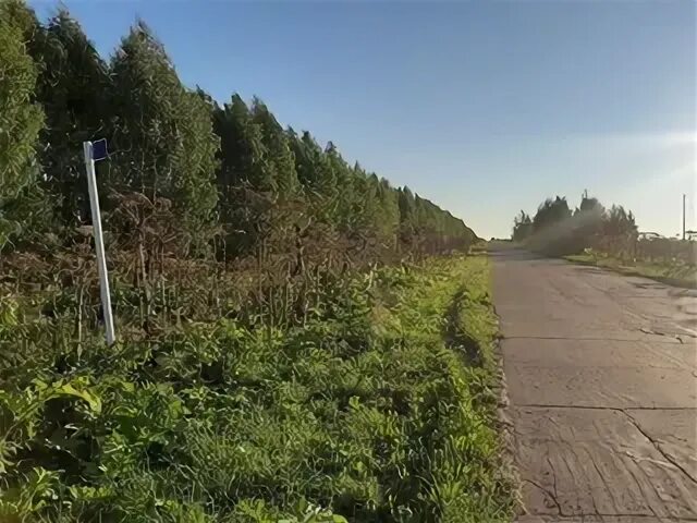 Расчистка полосы отвода. Технология расчистки полосы отвода.