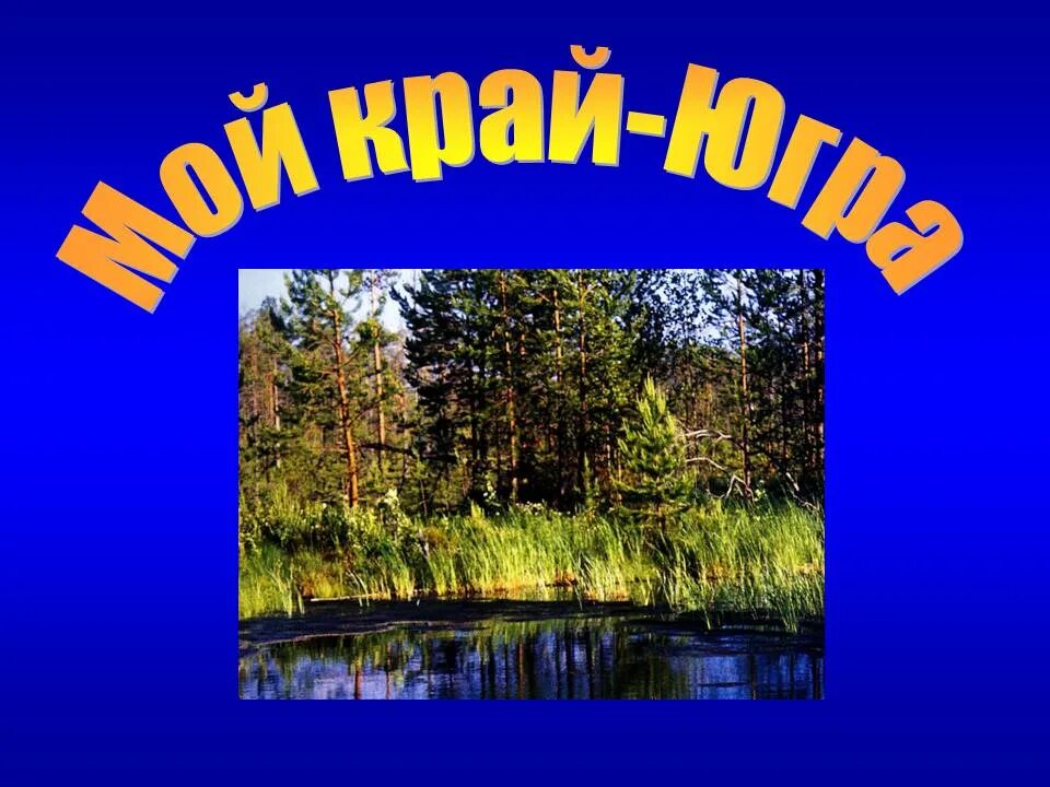 Природа родного края хмао. Природа родного края хмао. Окружающий мир разнообразие природы хмао. Окружающий мир разнообразие природы хмао. Окружающий мир разнообразие природы хмао.
