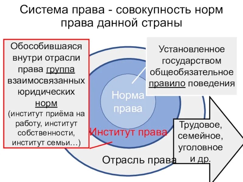 Правовая отрасль внутреннее строение