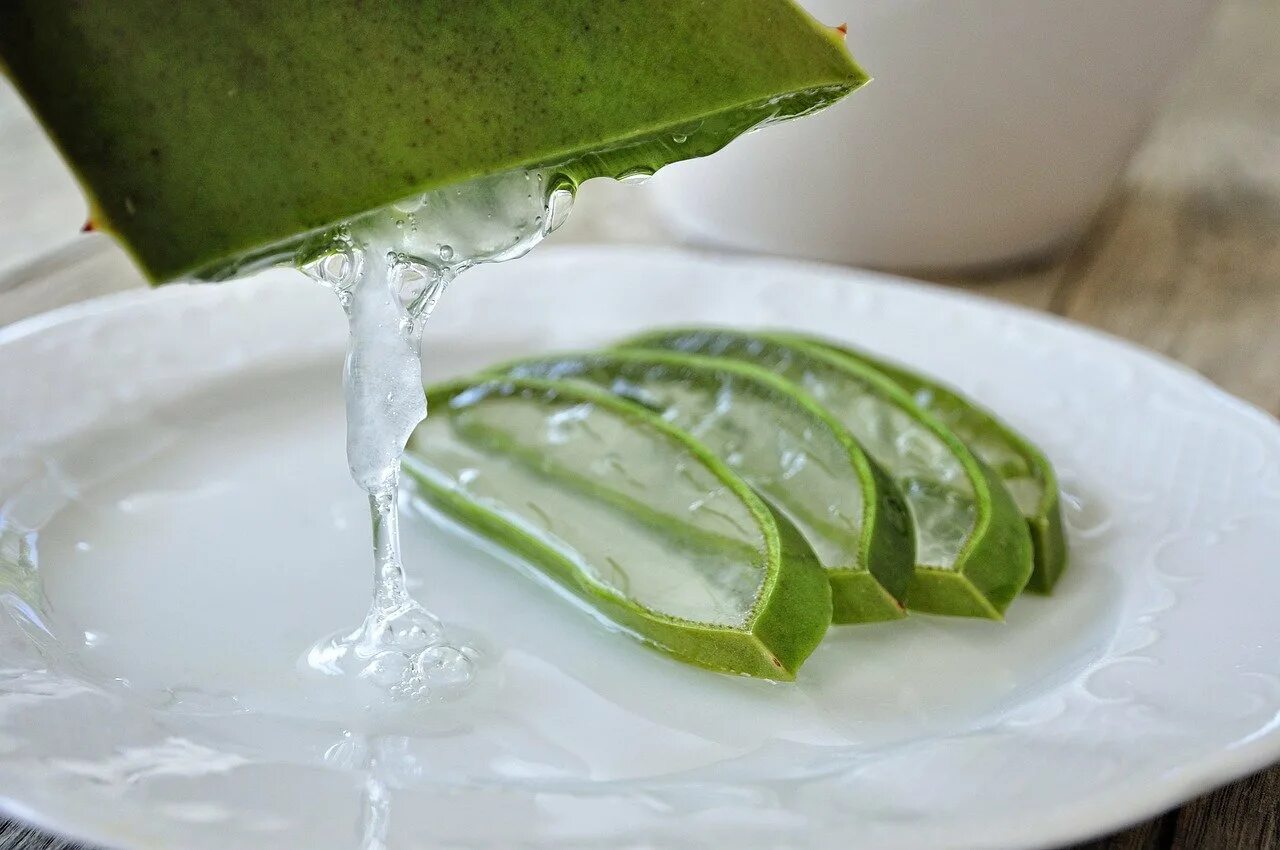 Aloe Vera. Aloe Vera сок. Алоэ гарипензис. Сок столетника