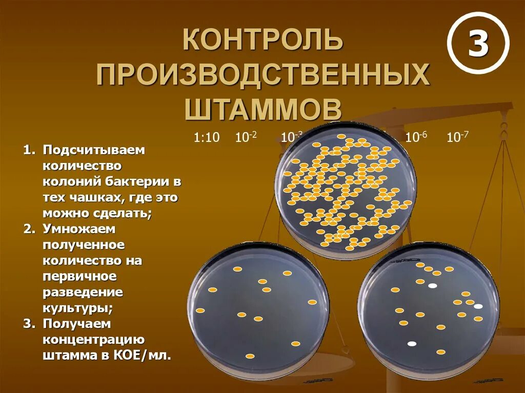 Последовательность штамма бактерий. Получение трансгенных организмов схема. Последовательность штамма бактерий. Последовательность штамма бактерий. Последовательность штамма бактерий.