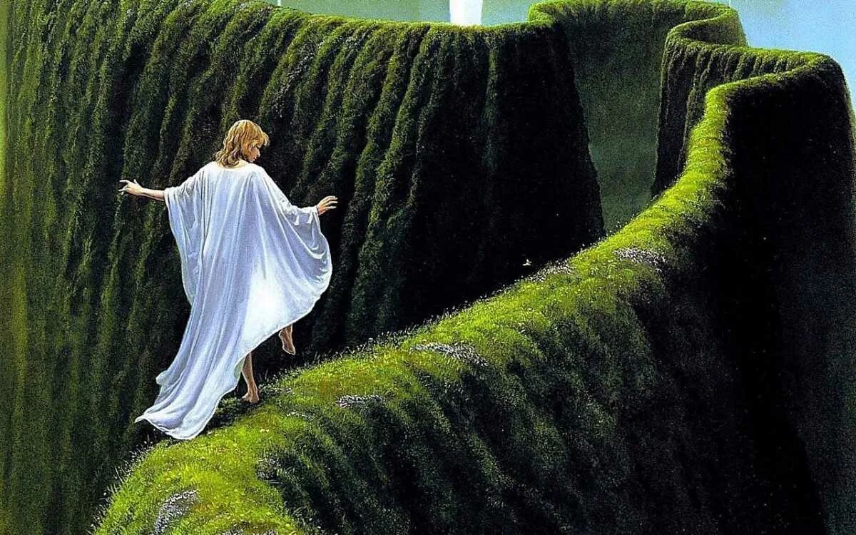 Один увидит в луже грязь. Красота в простом цитаты. Увидеть то же самое. Увидеть то же самое. Стереограмма тигр.