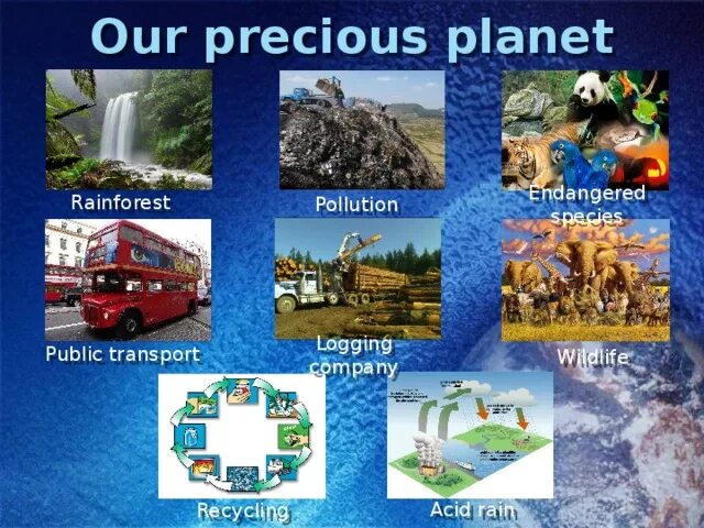 Fill in avalanche tornado pollution endangered. Our precious Planet. Our precious Planet ответы. Pollution endangered. Precious ours.