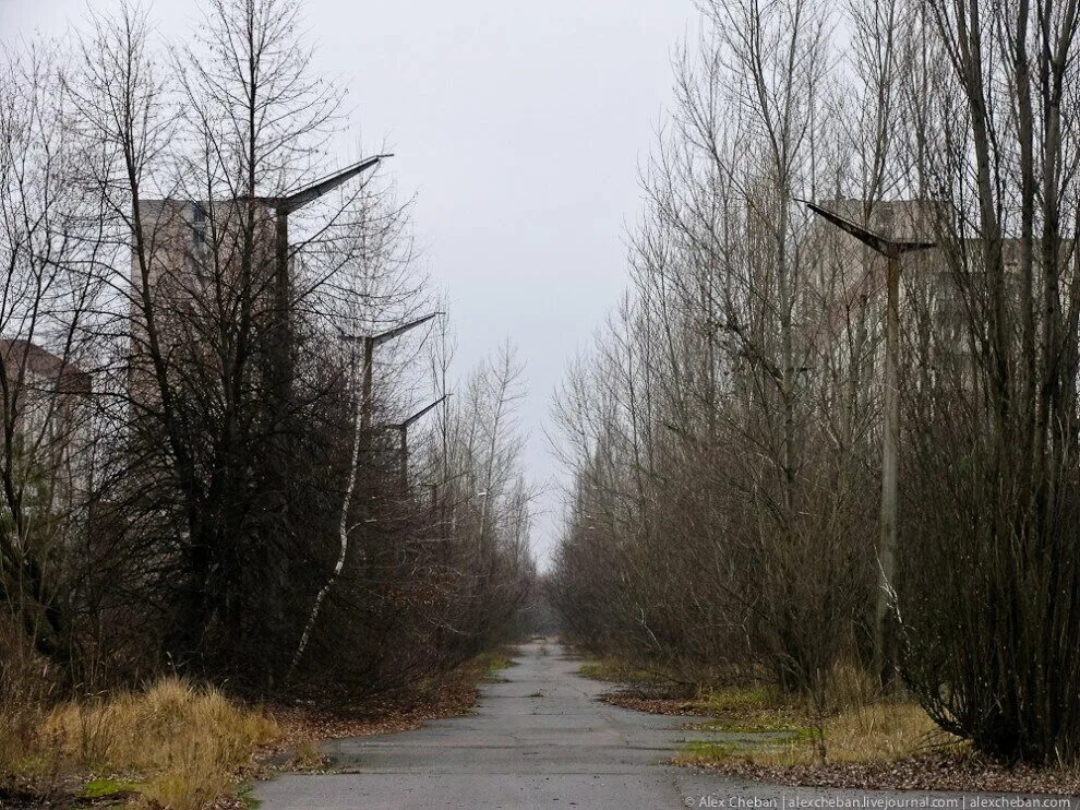 Сигнал припять. Заросший двор припять. чернобыль зона отчуждения припять. заброшенный город припять. зона отчуждения припять мрачно.