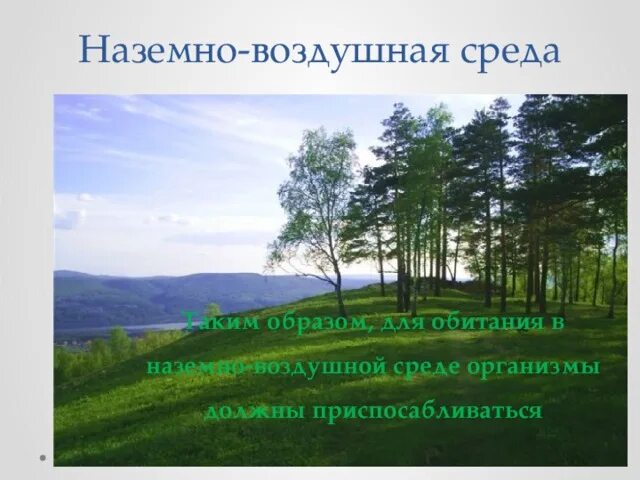 Наземно-воздушная среда. Факторы наземно воздушной среды обитания. Наземно-воздушная среда обитания примеры. Наземно-воздушная среда фон. Недостатки наземно воздушной среды обитания