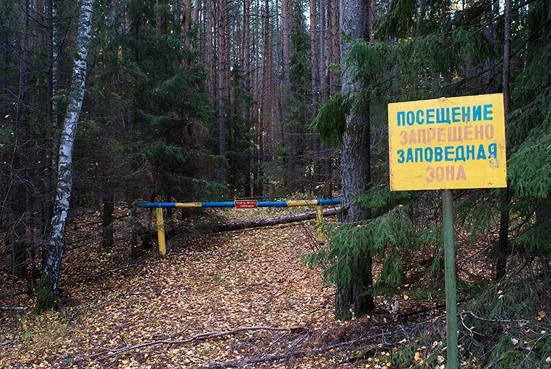 Заповедная зона парка. Заповедник белогорье лес на ворскле. Территория национального парка лосиный остров. Приокско-террасный заповедник тропа. Заповедная зона парка.