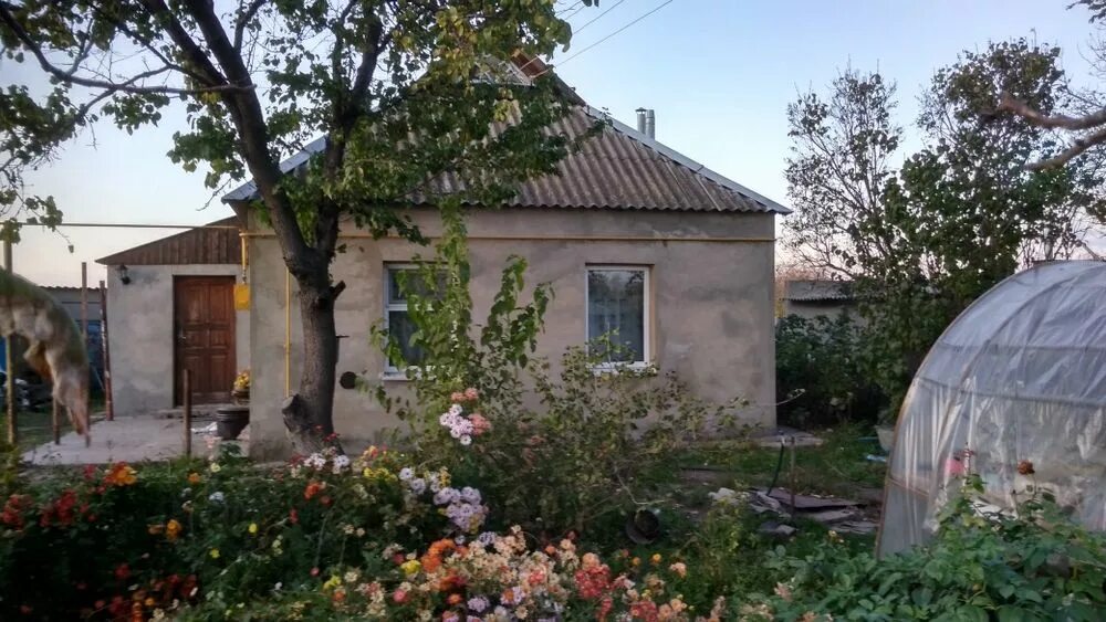 Погода новая маячка херсонская область. Новая маячка херсонская область. пгт новая маячка. картинки поселка городского типа новая маячка. поселок новая маячка панорама.