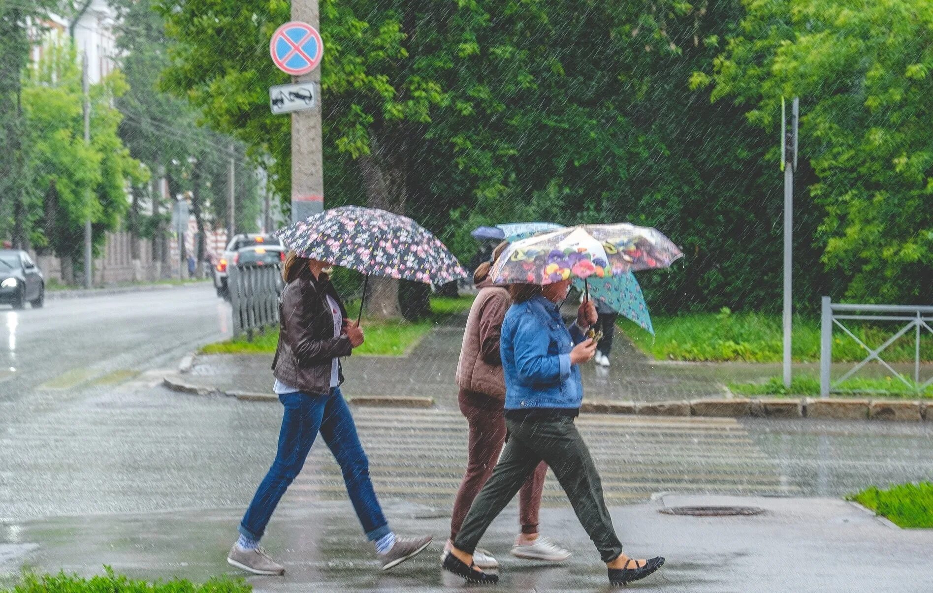 Прохладно и дождливо. Дождливая Пермь. Лето похолодание. Август дождь. Неделя будет дождливо