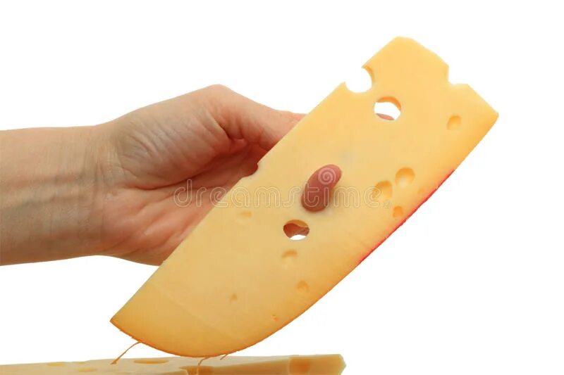 Мы считали дырки в сыре похожие. Дырки в сыре. Сыр с дырочками. Красивый сыр с дырочками. Круглый сыр с дырками.