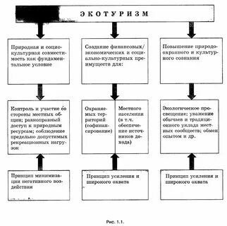 Формы экологических экскурсий