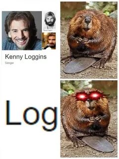 Бобры мем