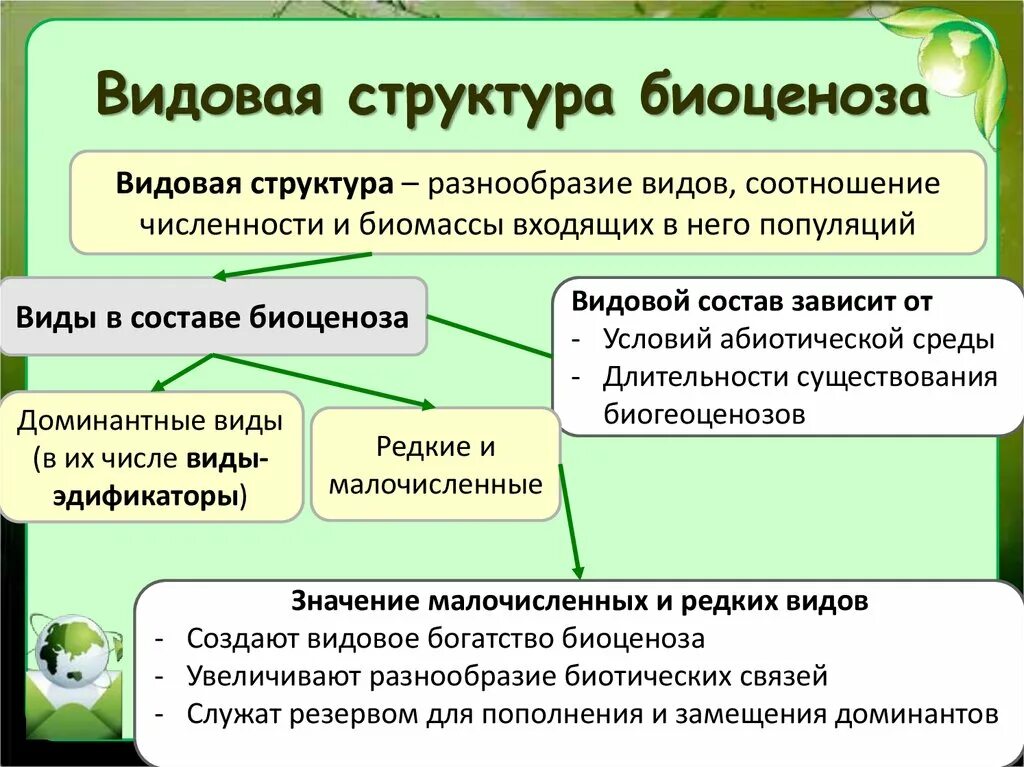 Видовое разнообразие примеры. Видовая структура биоценоза. Видова я структура биоценозая. Видовая структура экосистем. Видовая структура сообщества.