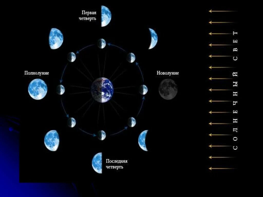 Цикл лунных фаз. Положение Луны относительно земли и солнца. Полный цикл смены лунных фаз. Синодический период земли.