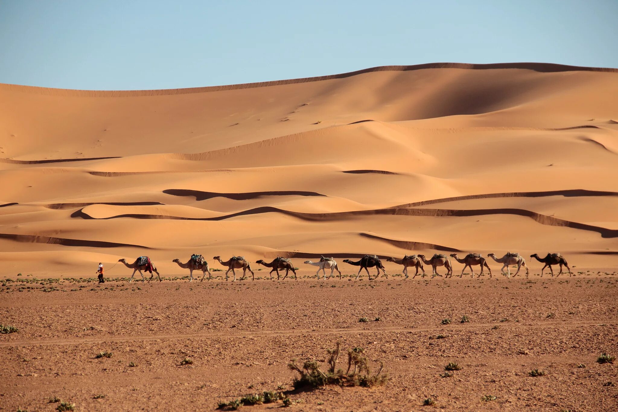Сахара пустыня на севере