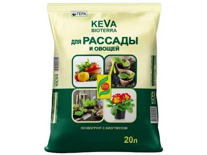 Грунт для рассады овощей
