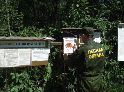 Телефон лесничества